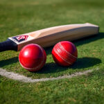 Profesjonalna piłka do krykieta